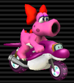 Birdo's Dolphin Dasher