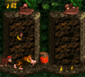 DKC Screenshot Geier-Feier.png