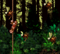 DKC Screenshot Wahnsinns-Wald.png