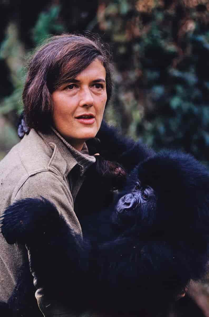 Dian Fossey, årstal ukendt