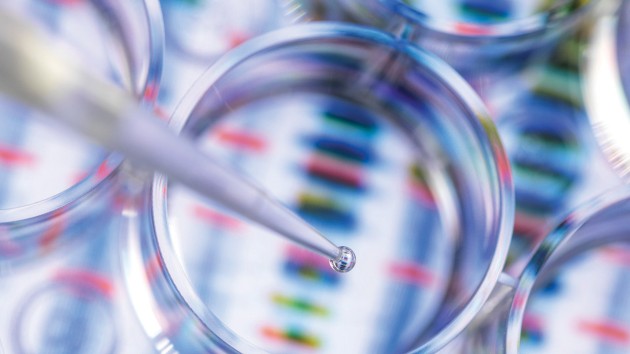 Close-up of a pipette dropping liquid into a clear petri dish with a blurred background of DNA sequences