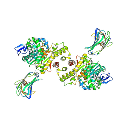 BU of 3biw by Molmil