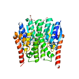 BU of 4gsn by Molmil