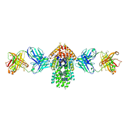 BU of 4xtr by Molmil