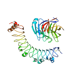 BU of 5cmn by Molmil