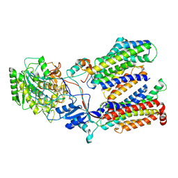 BU of 5fn2 by Molmil