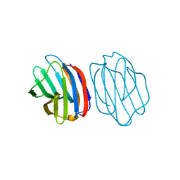 BU of 5nm1 by Molmil