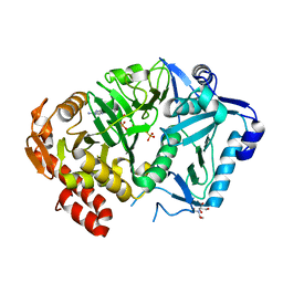 BU of 6asm by Molmil