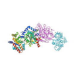 BU of 6duc by Molmil