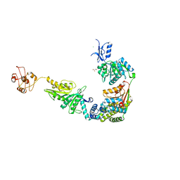 BU of 6p4o by Molmil