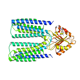 BU of 6xpd by Molmil