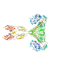 BU of 7sl6 by Molmil