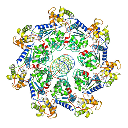 BU of 7ufi by Molmil