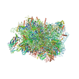 BU of 8rjc by Molmil