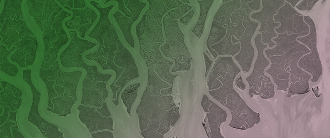 Spectroscopic Phenological Characterization of Mangrove Communities