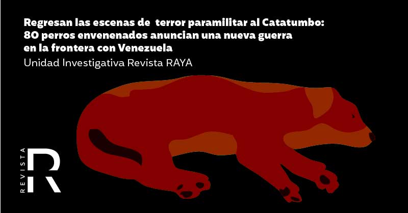 Regresan las escenas de terror paramilitar al Catatumbo: 80 perros envenenados anuncian una nueva guerra en la frontera con Venezuela