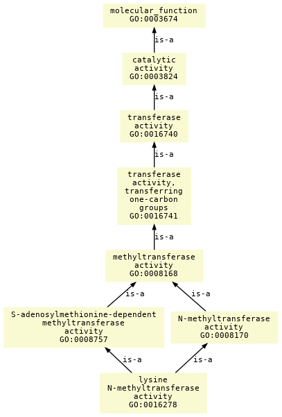 paths to the root