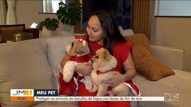 Meu Pet: como proteger os animais de barulhos de fogos de artifício - Veja como cuidar do seu animal de estimação nas festas de fim de ano.