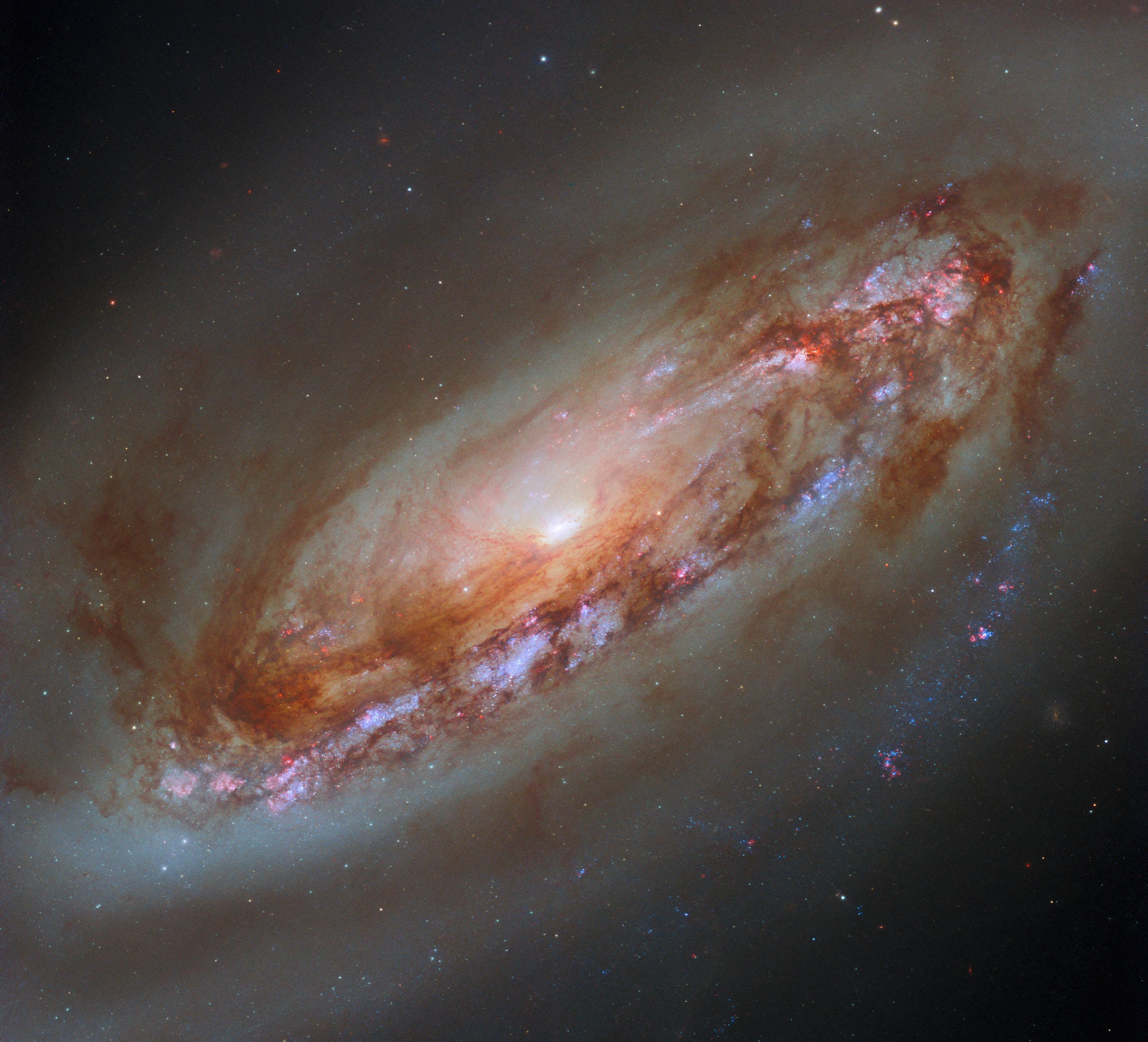 A spiral galaxy. It has a bright core with light spilling out. Its disk holds thick clumps of dark reddish dust, which swirls around the galaxy following its rotation. Brighter and hotter stars, shown in blue, speckle parts of the disk. A halo of faint gas wraps around the galaxy, extending beyond the edges of the image.