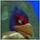 FalcoIcon(SSBM).png