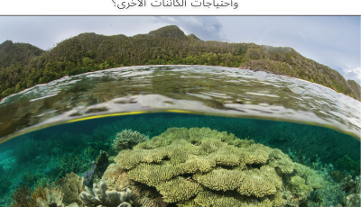 Cover of the Bioridversity! guide in Arabic