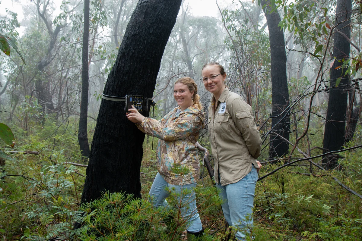 Dr Emma Spencer and her team reviewing images on an Eyes on Recovery wildlife camera in the Blue Mountains National Park, surrounded by trees and nature