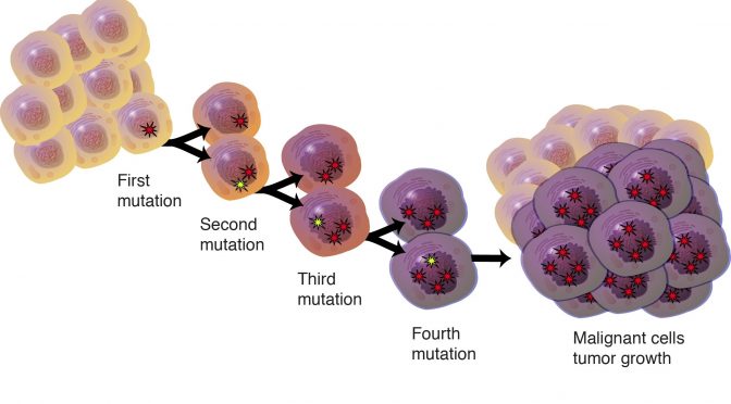 Statistically identifying tumor suppressors and oncogenes from pan-cancer genome-sequencing data.