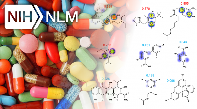 Metabolism and Reactivity (FUNDED)