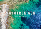 SwimTrek 60k Virtual Swim: From Fun Challenge to Global Swim for Ocean Conservation