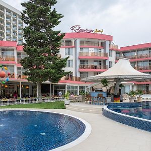 Flamingo Beach Hotel Сонячний Берег Exterior photo