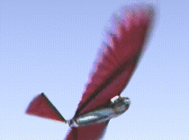 Ornithopter designed by Sean Kinkade, 1998