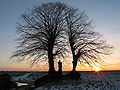 * Nomination The St. Ghislain chapel (1761) and its old lime trees in Cambron-Casteau, Belgium. -- Jean-Pol GRANDMONT 09:21, 7 December 2011 (UTC) * Promotion Good quality and very nice --Moonik 12:10, 7 December 2011 (UTC)