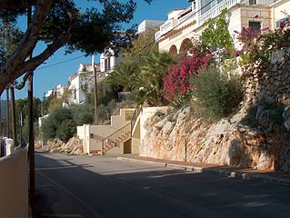 Deutsch: Blumen im Winter in Cala Fornells bei Paguera.