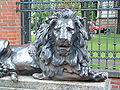 Polski: Lew przed gliwickim museum Deutsch: Löwe vorm Gleiwitzer Museum Français : un Lion devant le musée de Gliwice