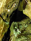 Thumbnail for File:Sturmannshöhle (2).jpg