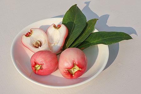 Syzygium samarangense fruit (Java apple) in a plate, with cross section