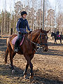 * Nomination: A warmblood mare (not registered for breeding; sire Westfalen). --kallerna 09:18, 29 April 2010 (UTC) * * Review needed