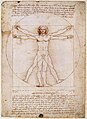 The Vitruvian Man by Leonardo da Vinci