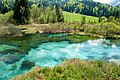 Zelenci, spring of Sava Dolinka