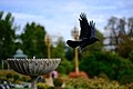 * Nomination Crow starting --Dktue 19:15, 5 February 2019 (UTC)  Oppose Insufficient quality. Sorry. The bird is unsharp. --XRay 16:26, 10 February 2019 (UTC) * Decline {{{2}}}