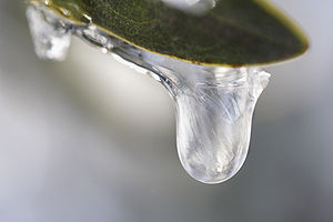 Frozen water droplet