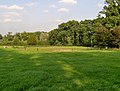 The remainings of the former castle of Weleveld