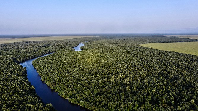 Kolkheti National Park located in western Georgia. Photographer: Paata vardanashvili