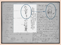 Comparison of the illustration of the telephone in Alexander Graham Bell's diaries and Elisha Gray's patent application, March 1876..