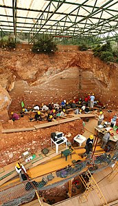 Excavations at the site of Gran Dolina