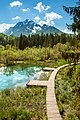 Zelenci, spring of Sava Dolinka