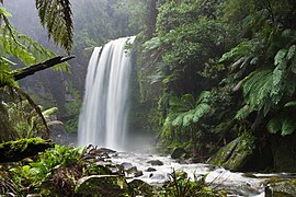 Hopetoun falls Beech Forest, Victoria