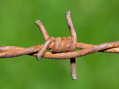 Barbed wire