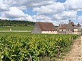 * Nomination Clos de Vougeot, one of the most famous vineyards in Burgundy. --Jebulon 21:03, 4 May 2010 (UTC) * Promotion Good --George Chernilevsky 17:14, 7 May 2010 (UTC)