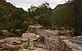 Sabino Canyon